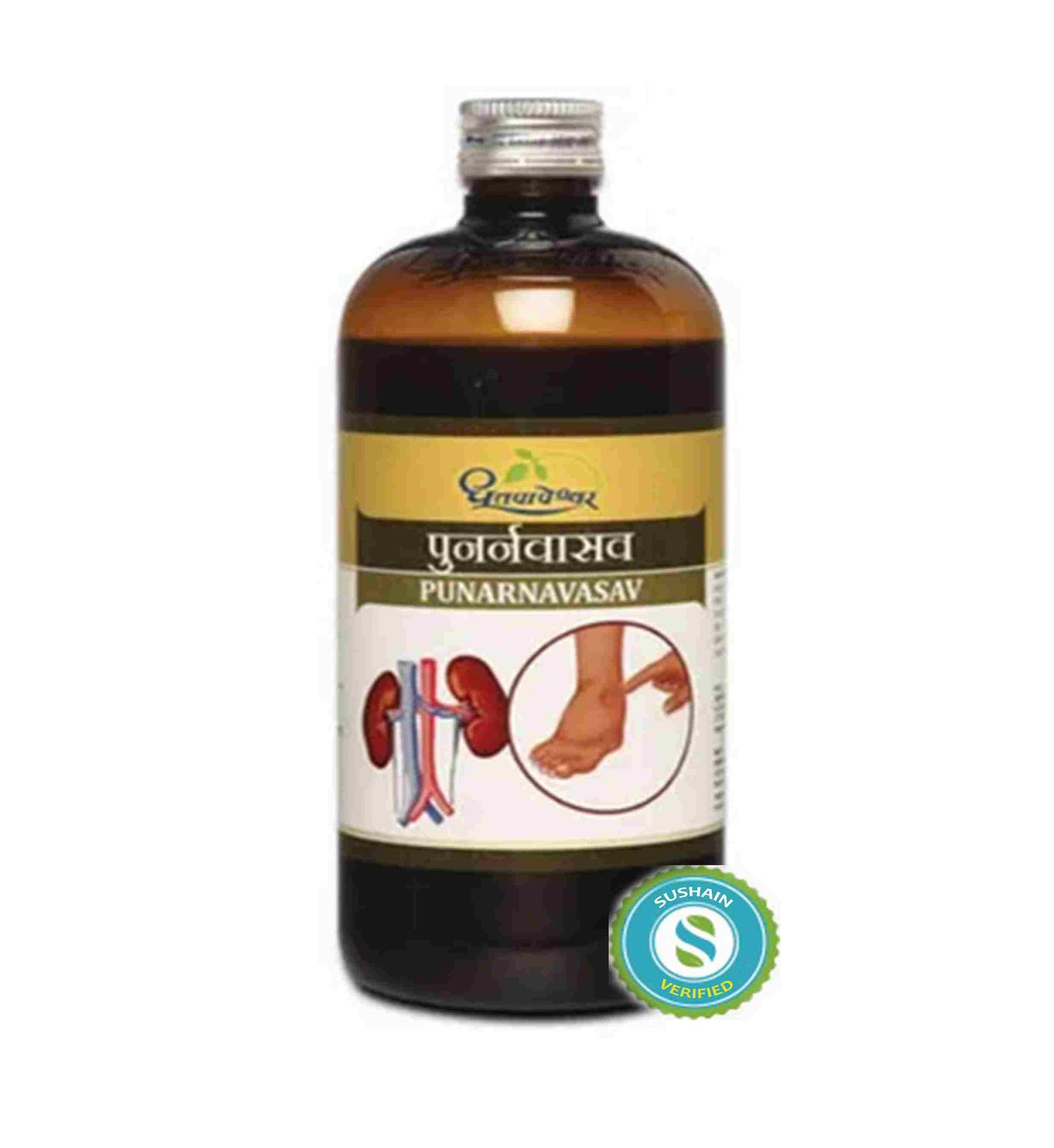 Dhootapapeshwar Punarnavasav