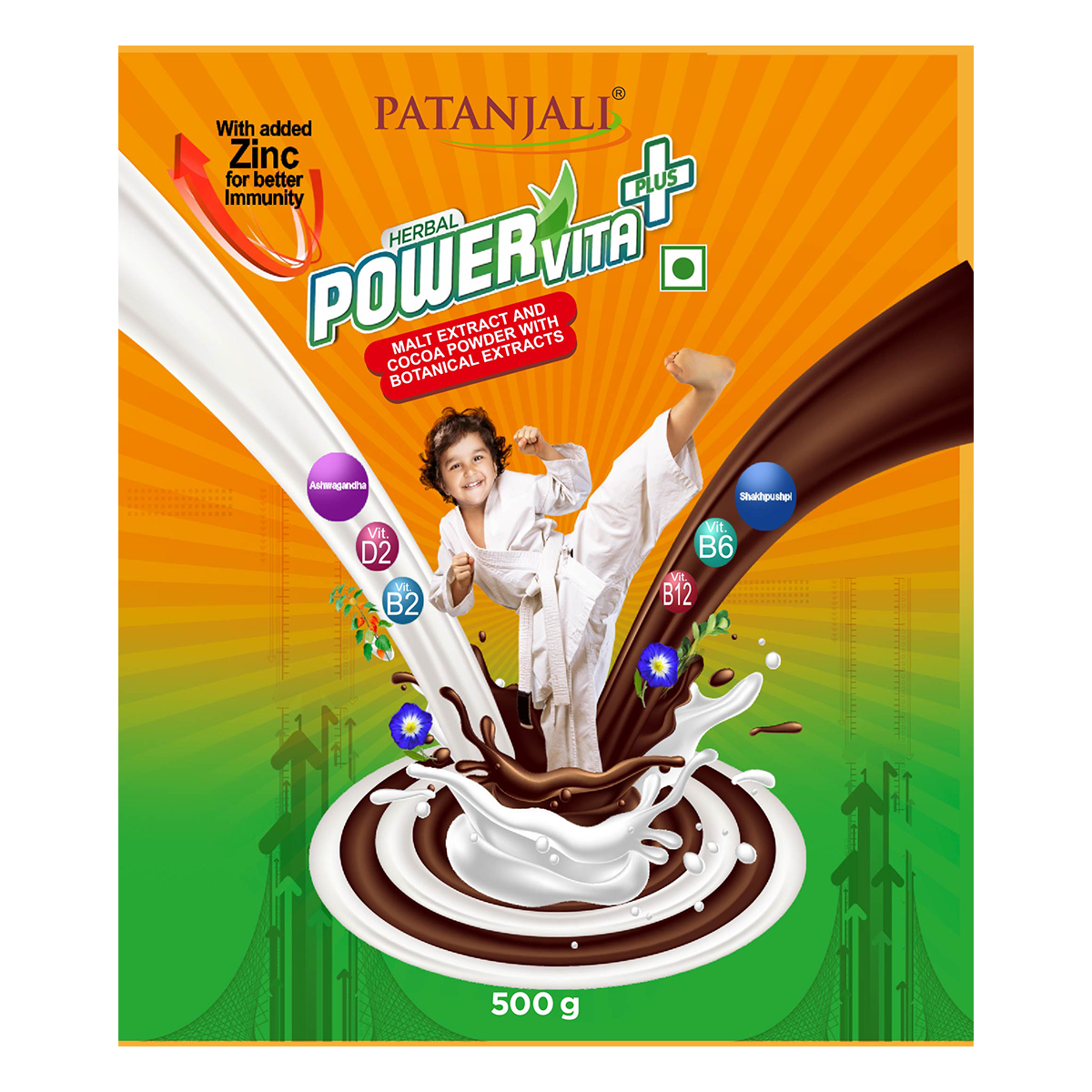 Patanjali Herbal Powervita Powder