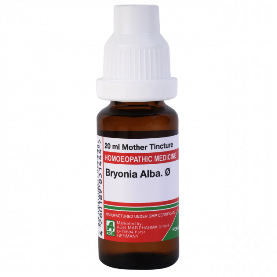 Adel Bryonia Alba
