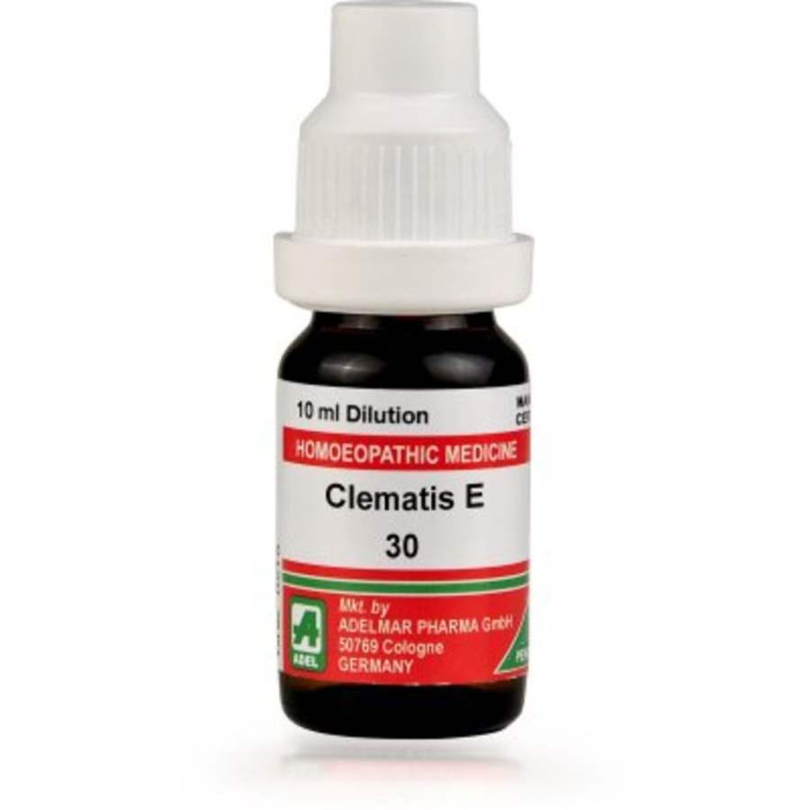 Adel Clematis Erecta 30 Ch