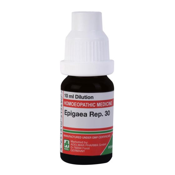 Adel Epigaea Repens 30 Ch