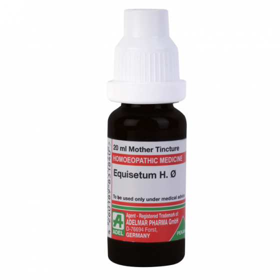 Adel Equisetum H