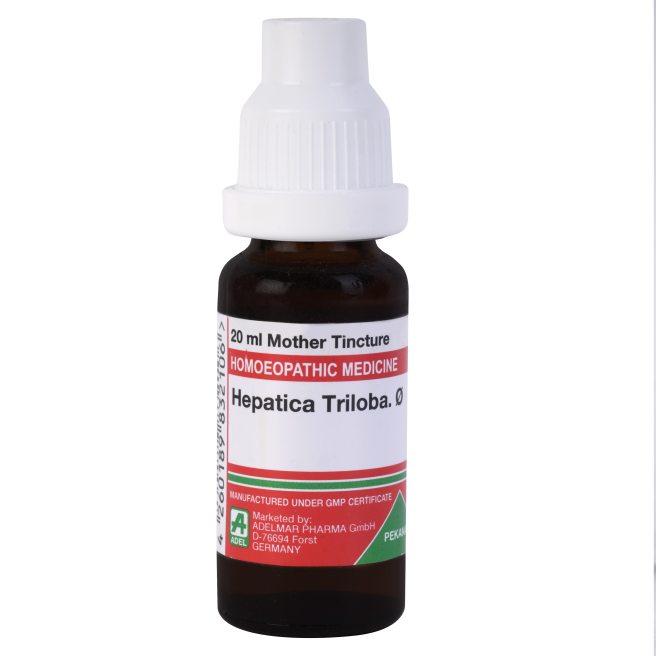 Adel Pekana Hepatica Triloba 1X Q