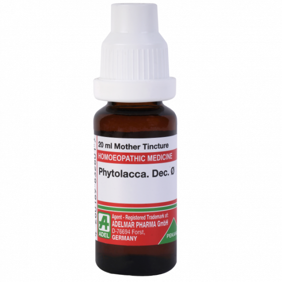Adel Phytolacca
