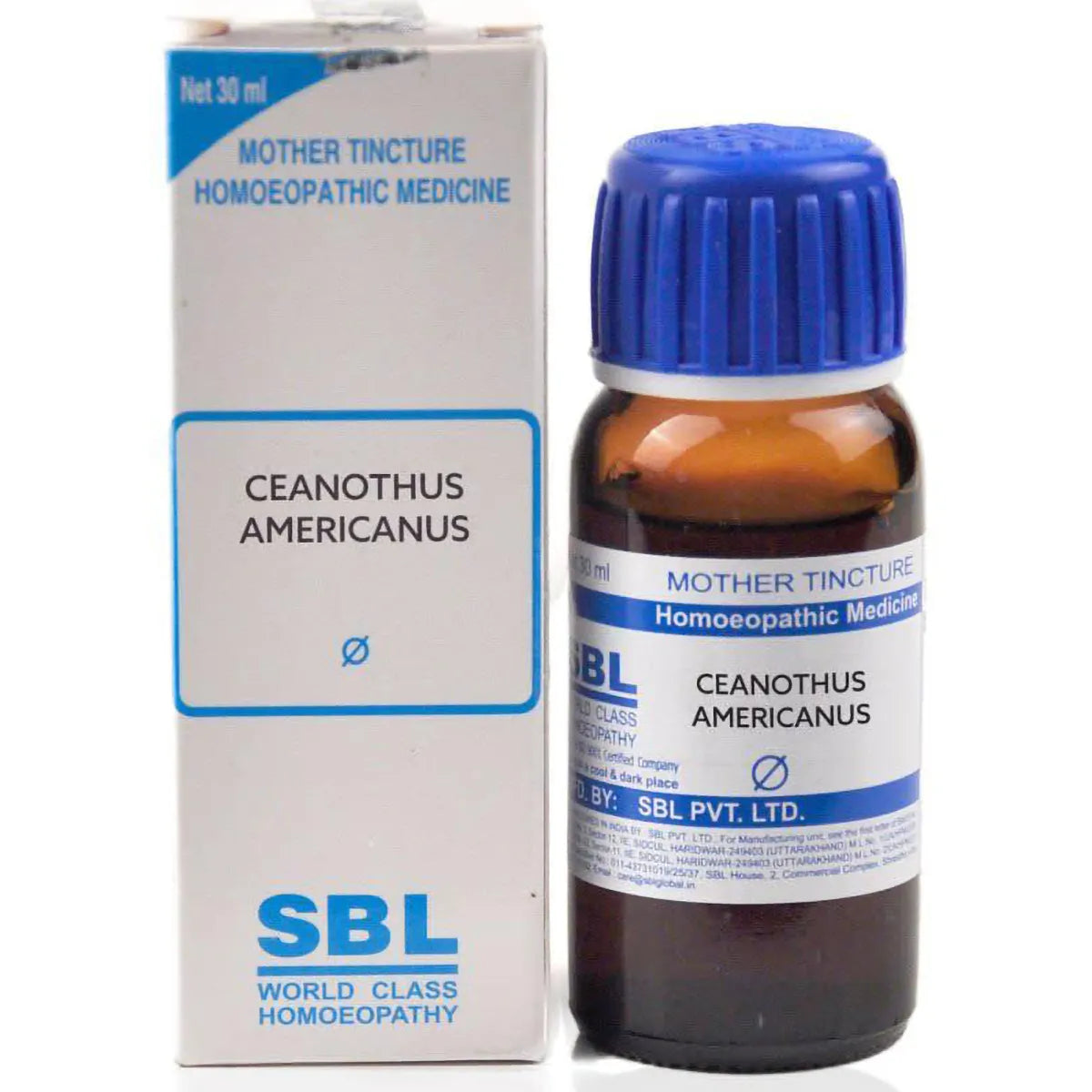 Sbl Ceanothus Americanus