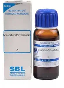 Sbl Gnaphalium Polycephalum