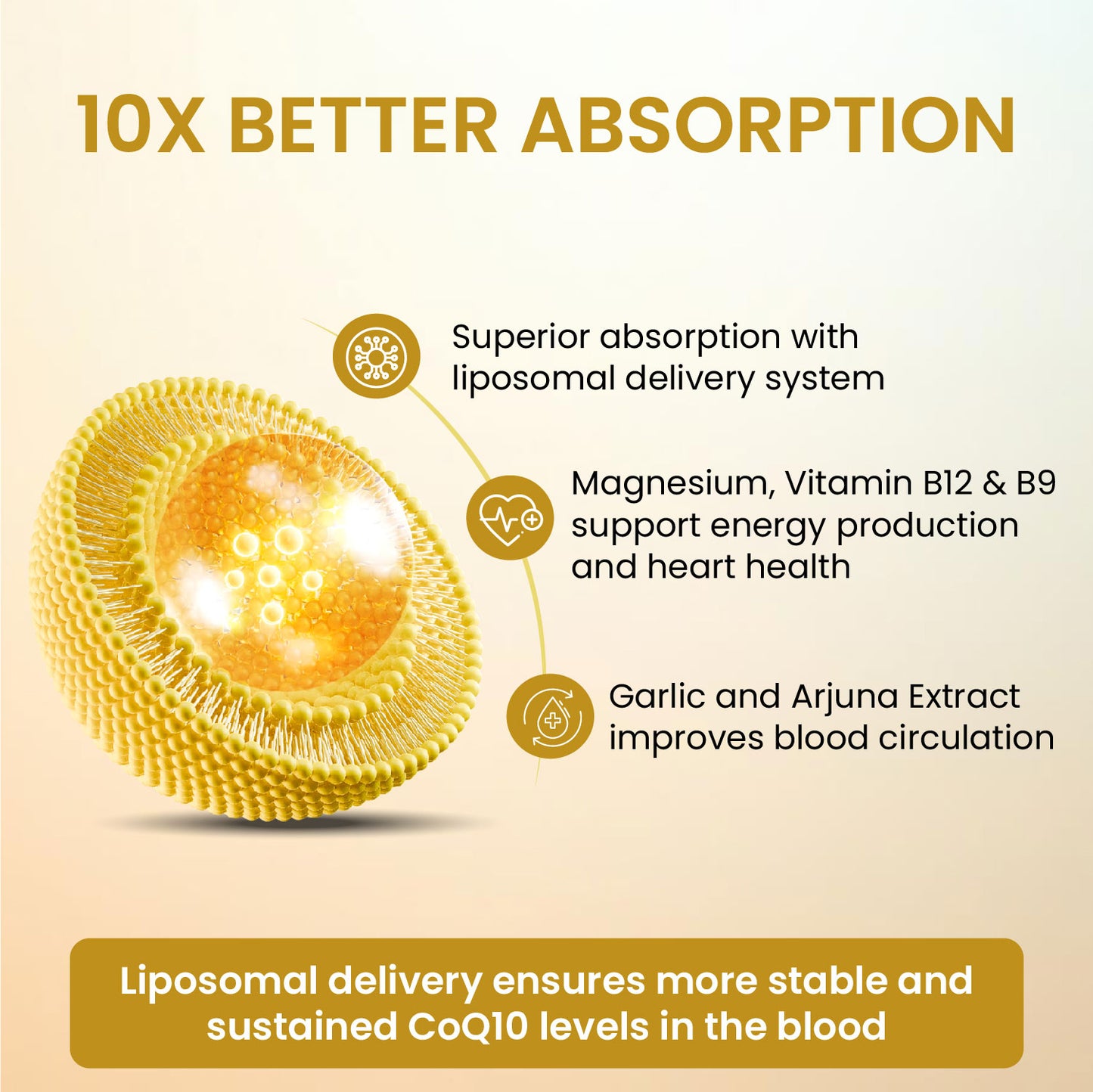 Himalayan Organics Liposomal Coenzyme Q10 | CoQ10 Supplement 300mg+ with Magnesium, Vitamin B9 & B12 Arjuna and Garlic Capsules