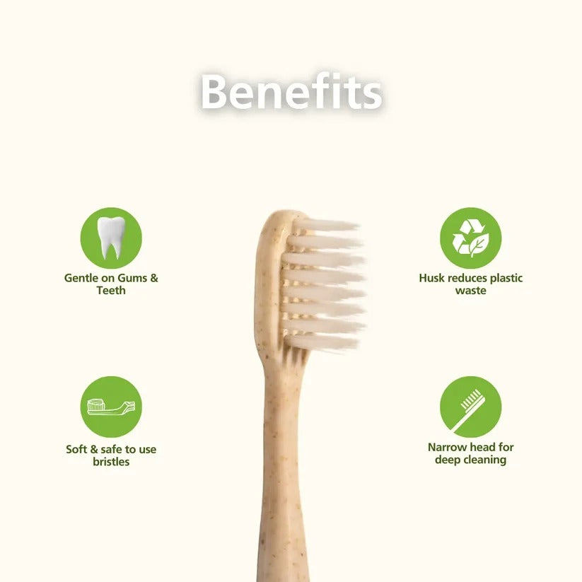 Daito Tooth Brush Y Husk Eco Fresh