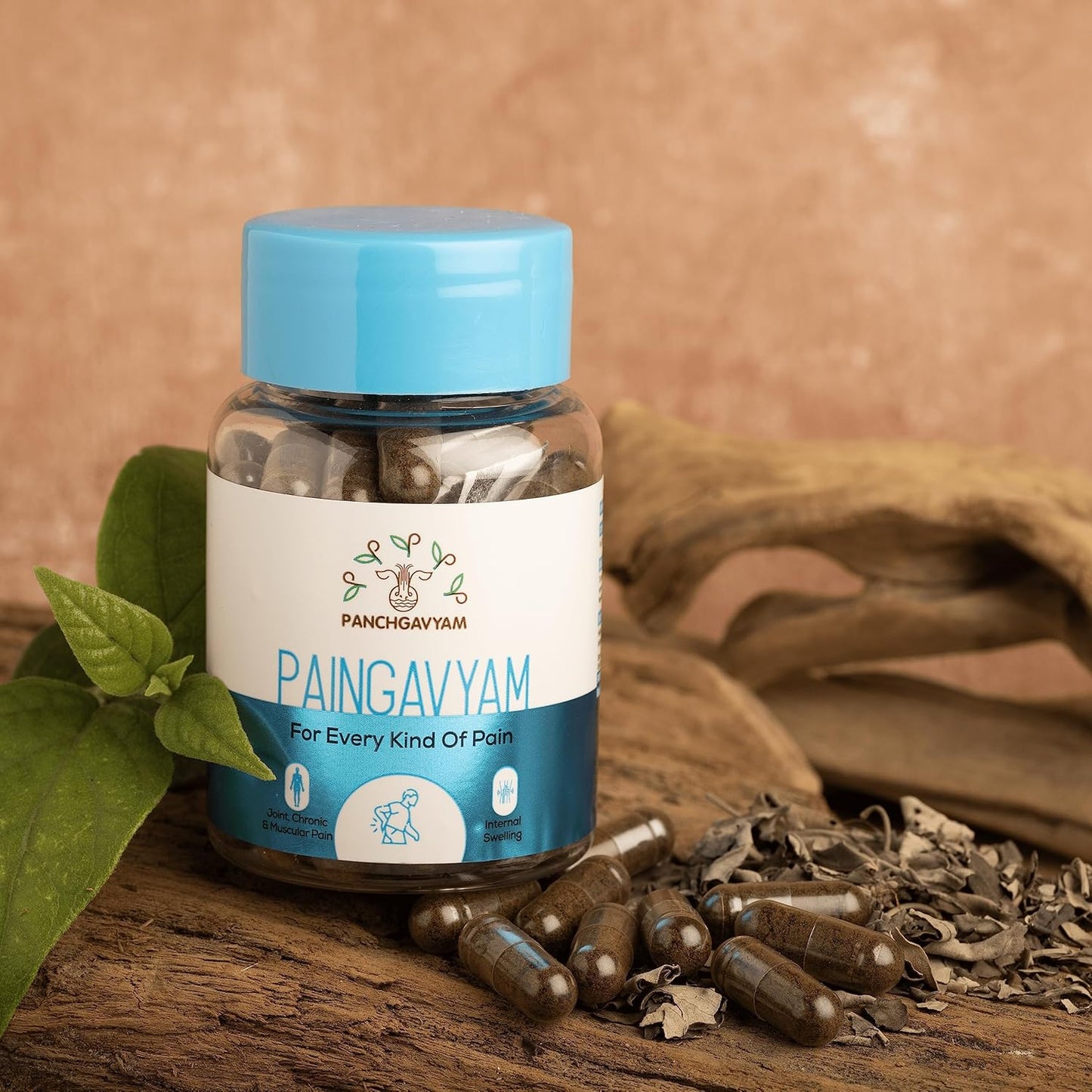 Panchgavyam Paingavyam Capsules