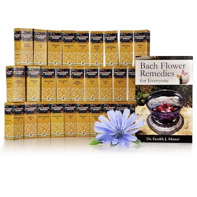New Life Bach Flower Remedies Rescue Remedy Kit (Pack Of 40 Pcs)