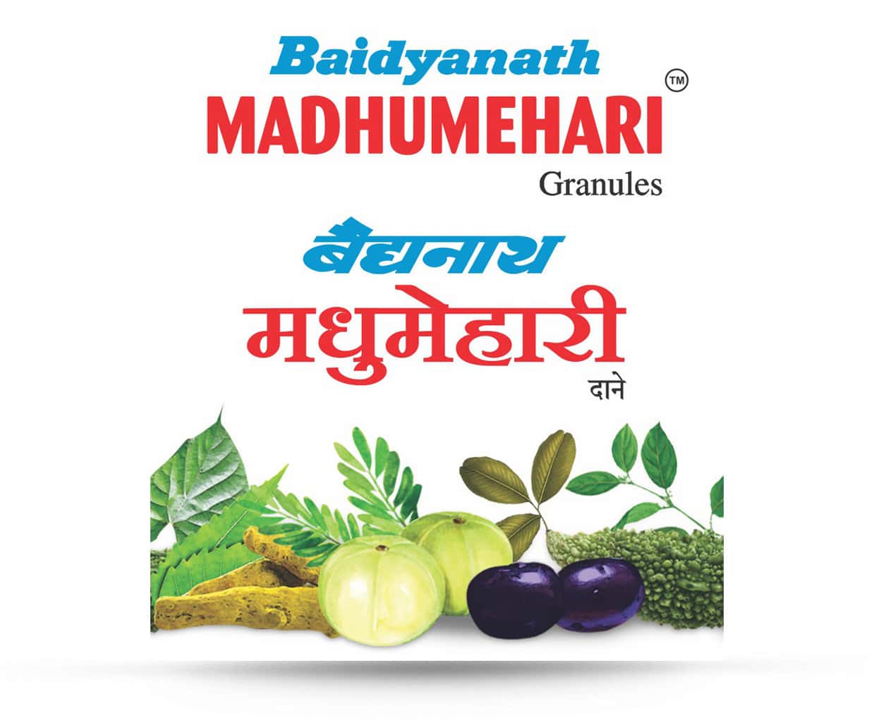 baidyanath madhumehari granules