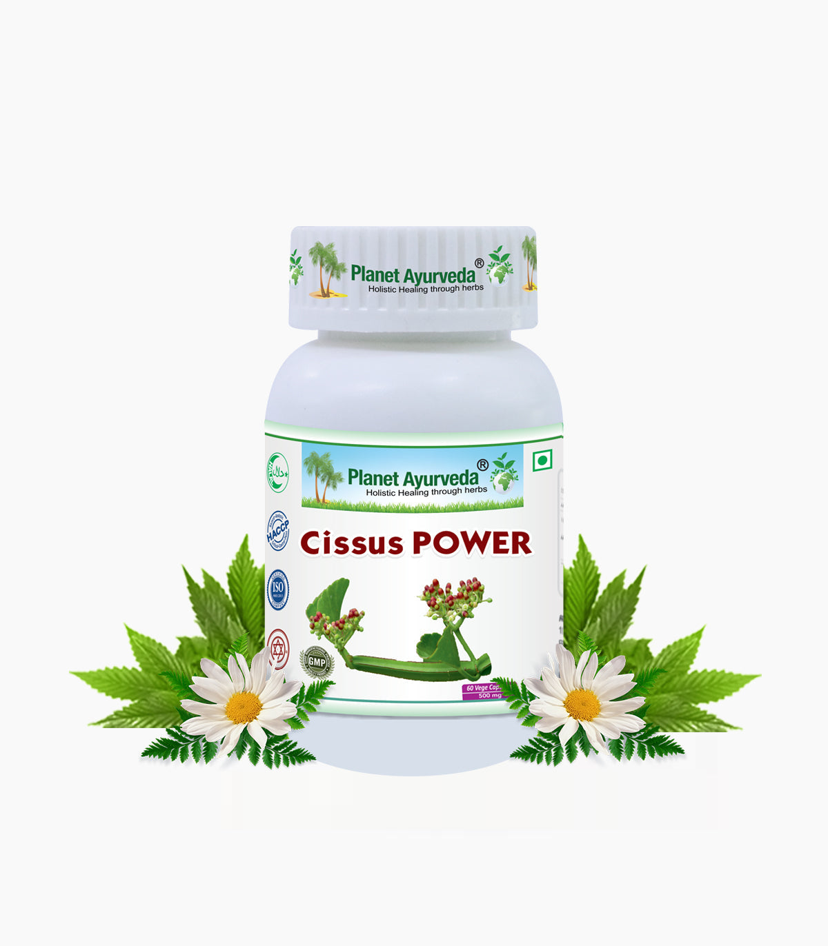 Planet Ayurveda Cissus Power Capsules
