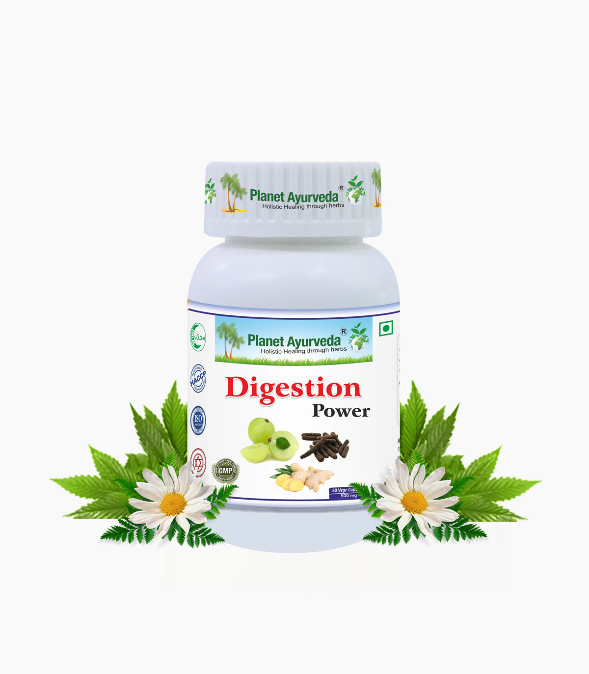Planet Ayurveda Digestion Power Capsules