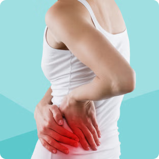 Ayurvedic Medicine For Kidney Care