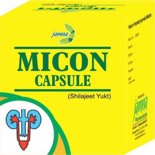 Jamna Micon Capsule Shilajeet Yukt