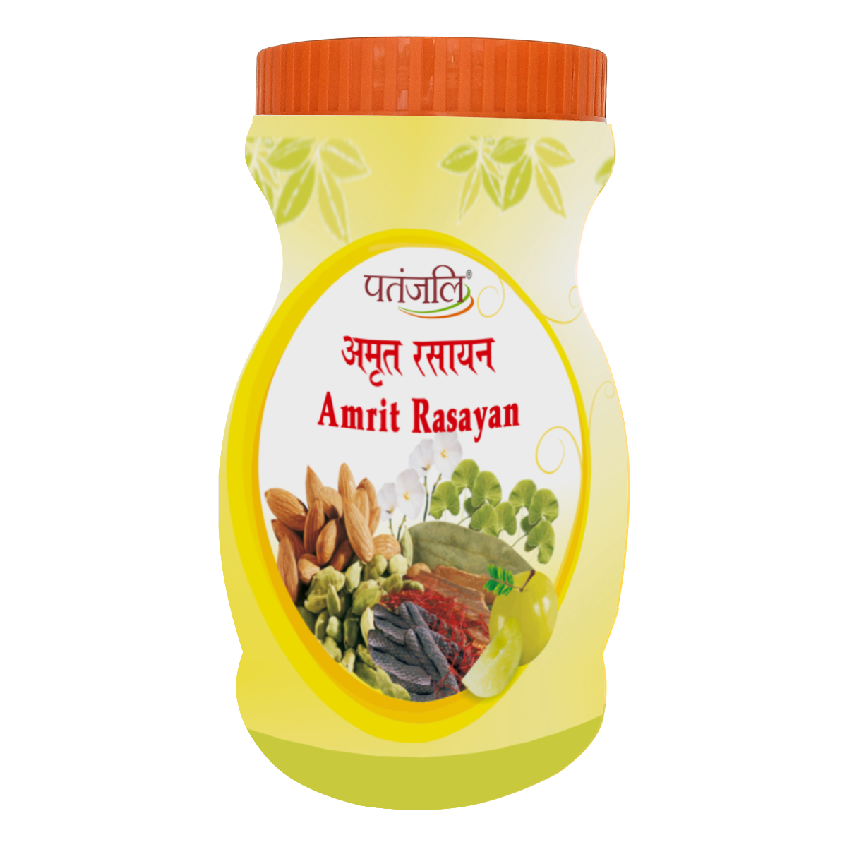 Patanjali Amrit Rasayan Powder
