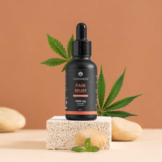 India Hemp Cannabliss Pain Relief 4500 Mg