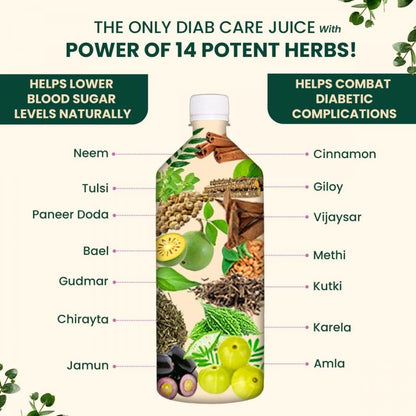 Vansaar 45+ Diab Balance Juice | Ayurvedic Diabetic Care Juice For 45+ Adults