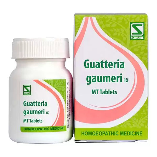 Dr Willmar Guatteria Gaumeri 1X