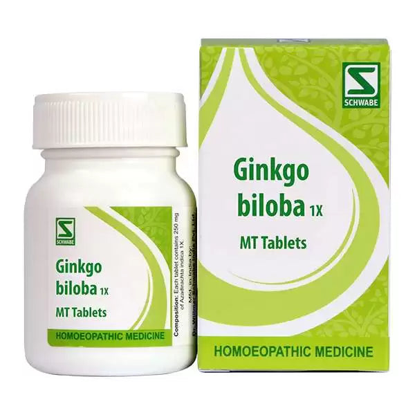 Dr Willmar Ginkgo Biloba