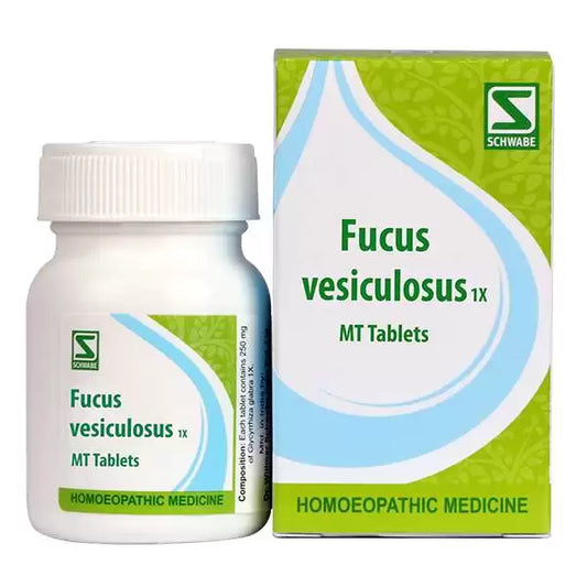 Dr Willmar Fucus Vesiculosus 1X Tab