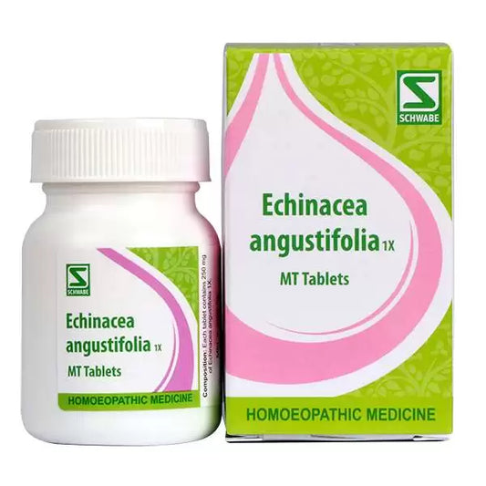 Dr Willmar Echinacea Angustifolia 1X Tab