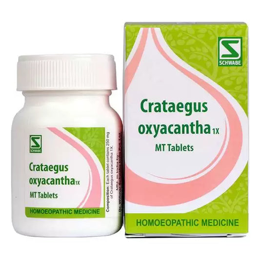 Dr Willmar Crataegus Oxyacantha 1X Tab