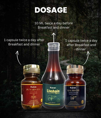 Fatty Liver Management Combo Pack