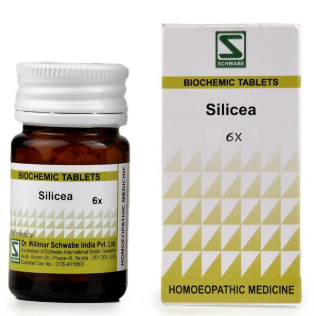 Dr Willmar Silicea 6X