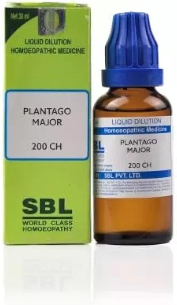 Sbl Plantago Major Dilution 200 Ch