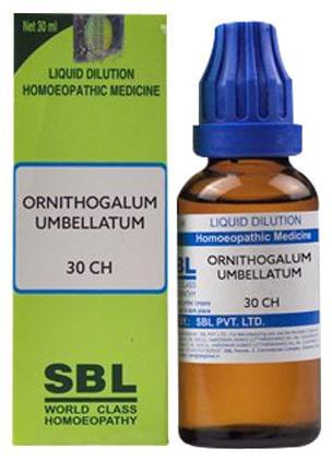 Sbl Ornithogalum Umbellatum 30 Ch