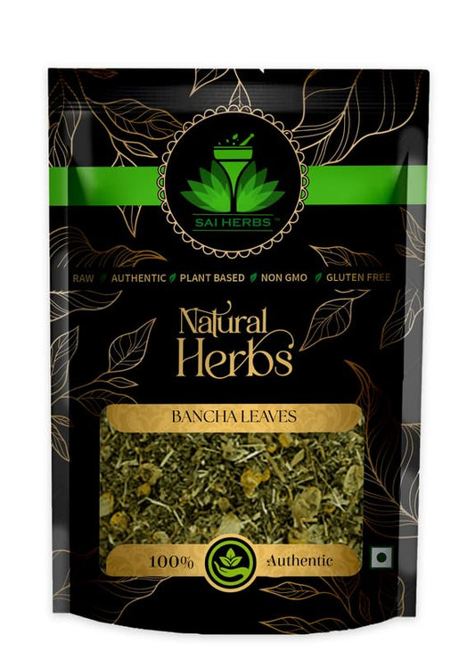 Sai Herbs Bancha Leaves Pure & Naturals