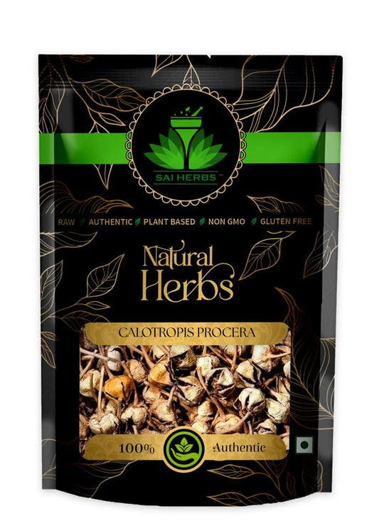 Sai Herbs Calotropis Procera - Apple Of Sodom - Calotrope - Pure & Natural