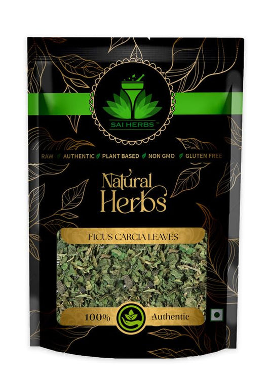 Sai Herbs Ficus Carcia Leaves