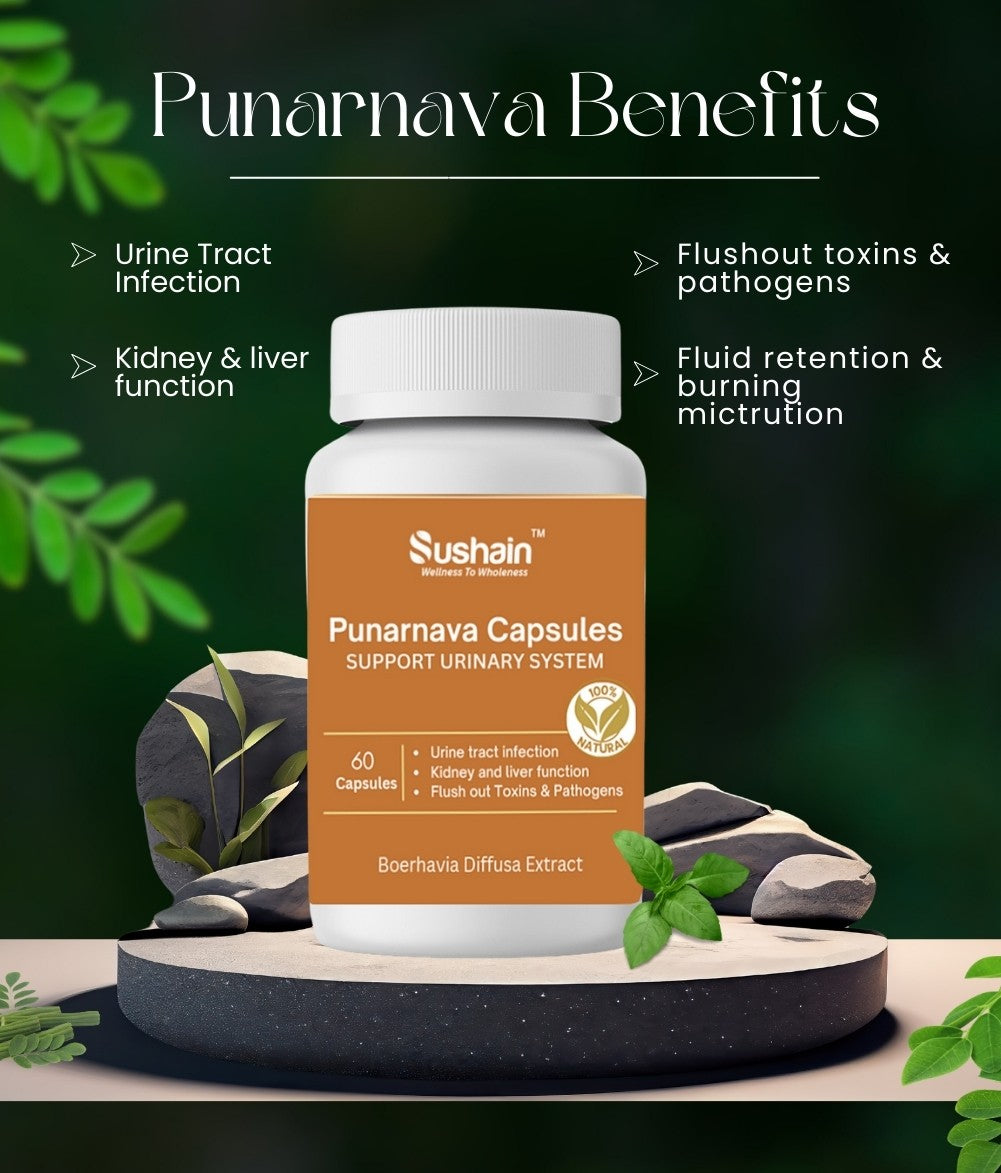 Sushain Punarnava Extract Capsules For Uti Kidney And Liver Care