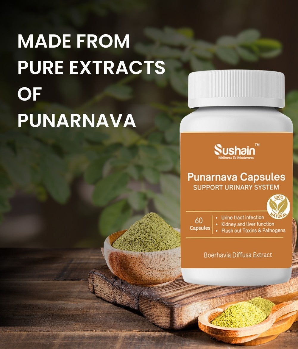 Sushain Punarnava Extract Capsules For Uti Kidney And Liver Care