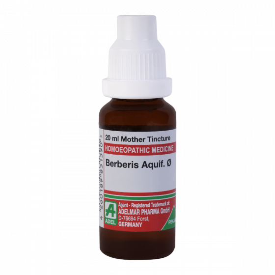 Adel Berberis Aquif