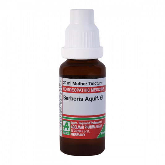 Adel Berberis Aquif