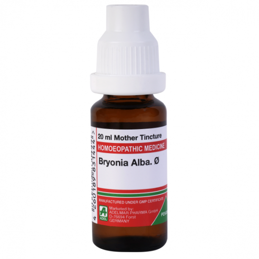 Adel Bryonia Alba