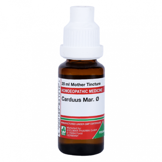Adel Carduus Marianus