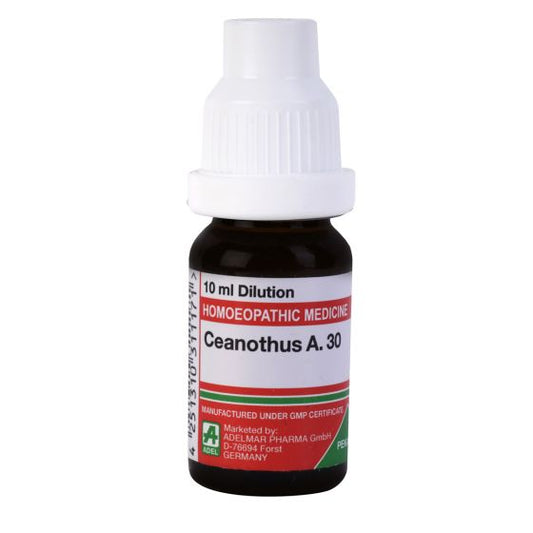 Adel Ceanothus 30 Ch