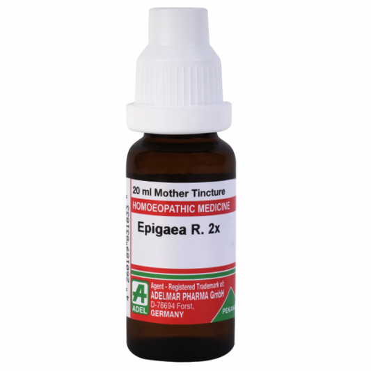 Adel Pekana Epigaea Repens 2X