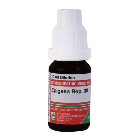 Adel Epigaea Repens 30 Ch