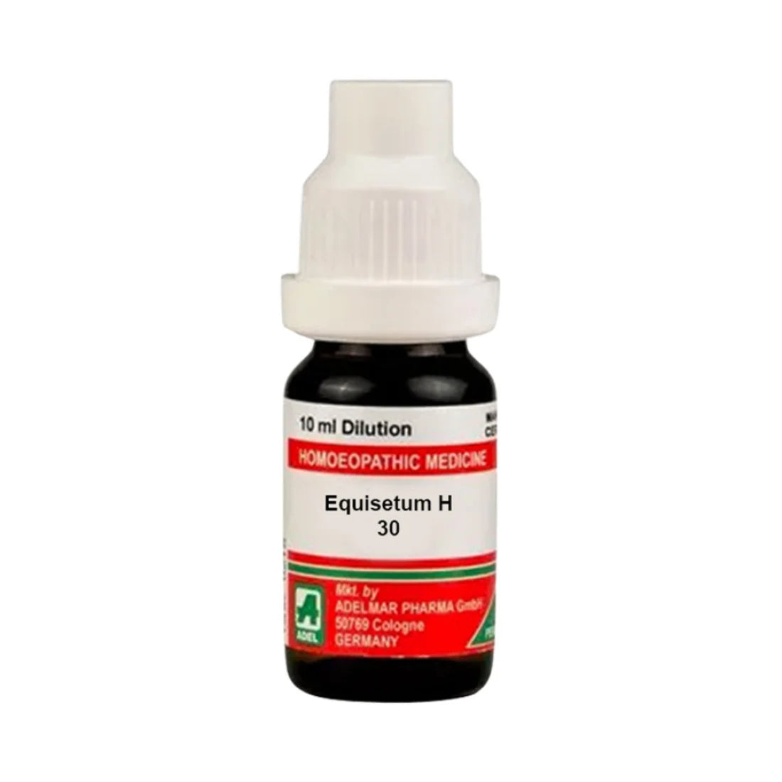 Adel Equisetum H 30