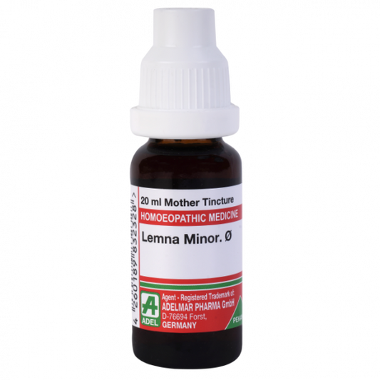 Adel Pekana Lemna Minor 1X Q
