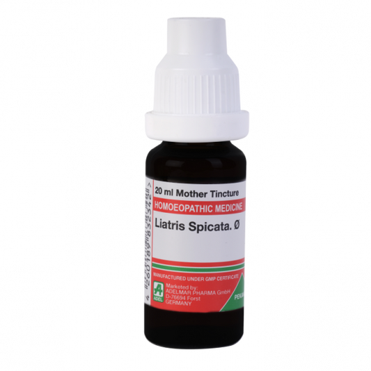 Adel Pekana Liatris Spicata 1X Q