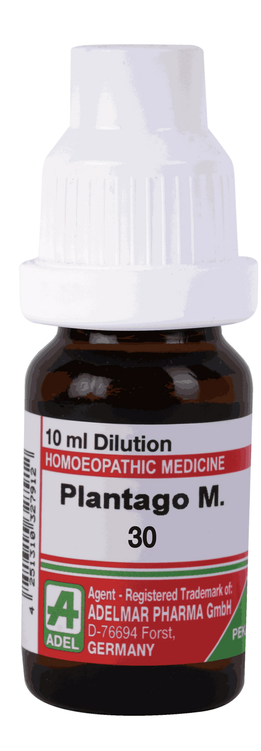 Adel Plantago M 30 Ch