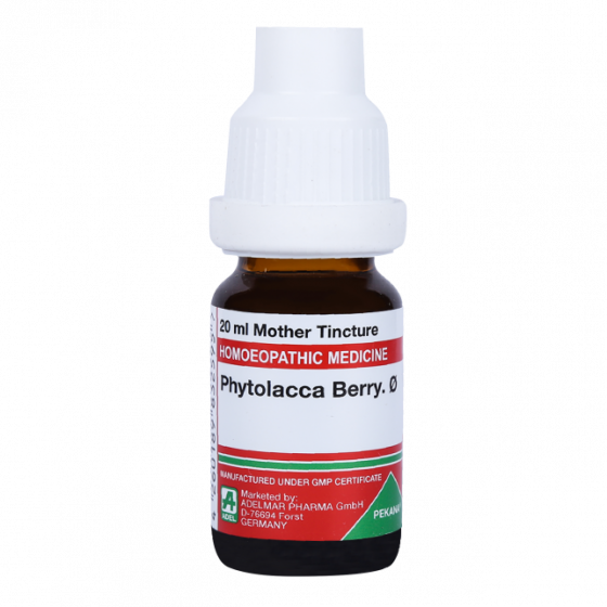 Adel Phytolacca Berry