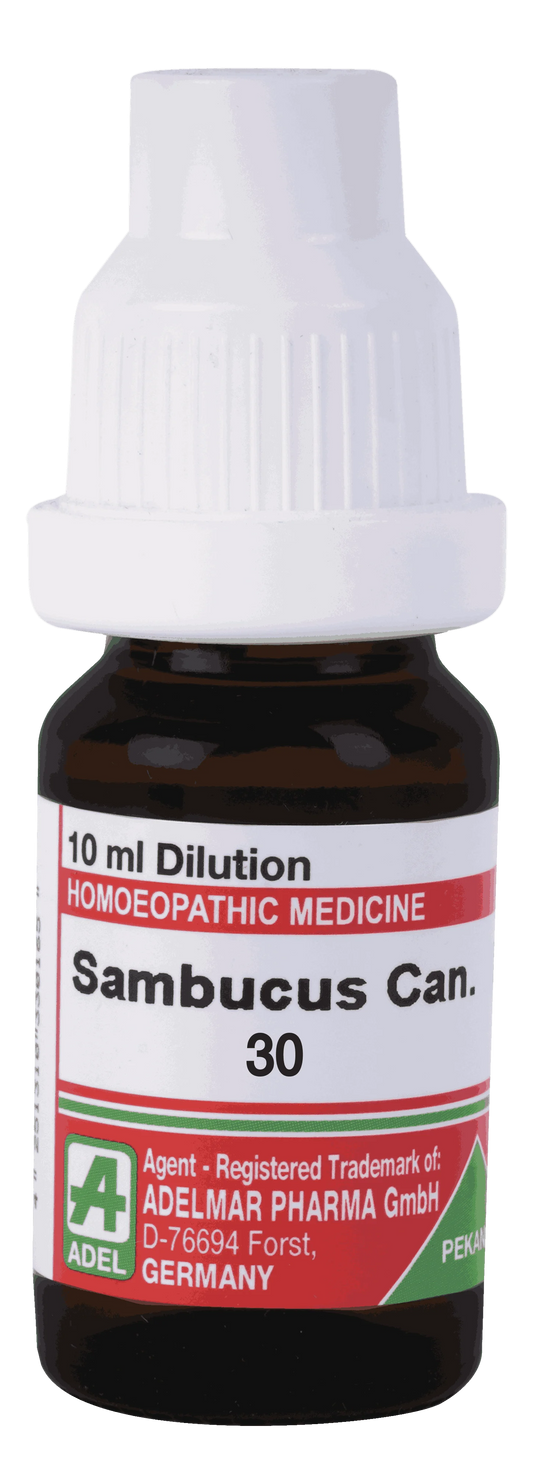 Adel Sambucus Canadensis 30 Ch