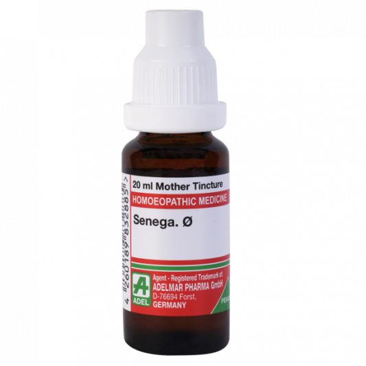 Adel Senecio Aurens 1X Q